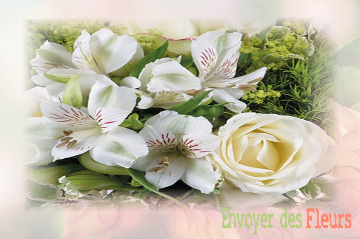 envoyer des fleurs à à SAINT-ETIENNE-ROILAYE